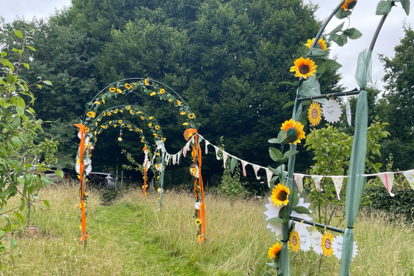 Our Sunflower Appeal is back