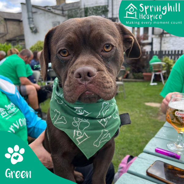 Springhill Dog Bandana - Green