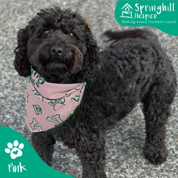 Springhill Dog Bandana - Pink