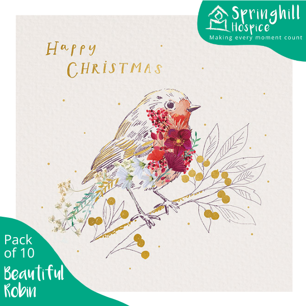 Christmas Cards - Beautiful Robin
